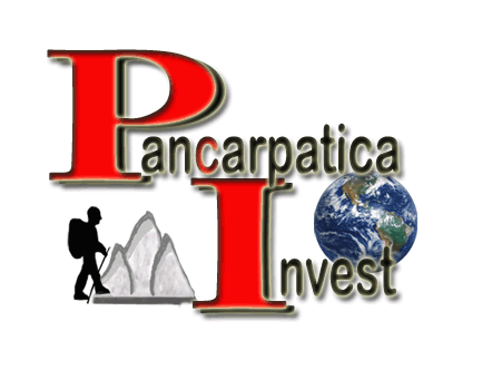 Plata electronică a impozitelor, taxelor și amenzilor prin aplicația InfoPay